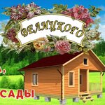 Владимир Велицкий