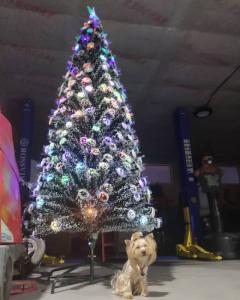 Фотография Золотой ключ 5