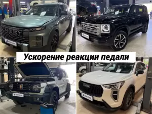 Фотография Евро Чип Тюнинг Омск 0