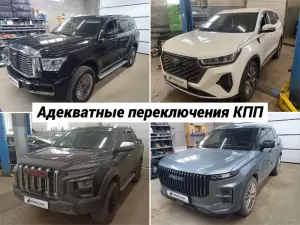 Фотография Евро Чип Тюнинг Омск 1