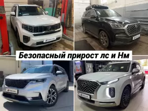 Фотография Евро Чип Тюнинг Омск 3