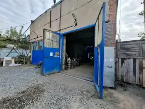 Фотография ЛЕВША 2