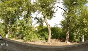 Фотография BNW-SAW 4