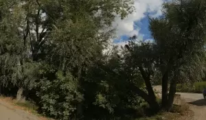 Фотография Вазовский 2