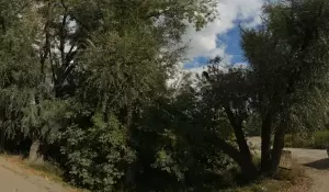 Фотография Вазовский 3